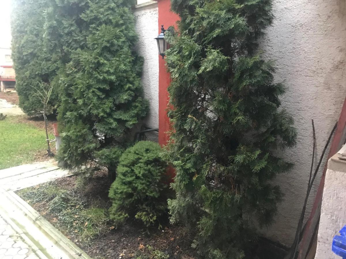 Apartman Jeruzalemska Trnava Exterior foto
